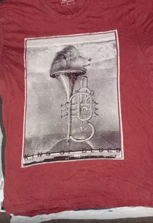Ladies printed t shirts 41 pieces
