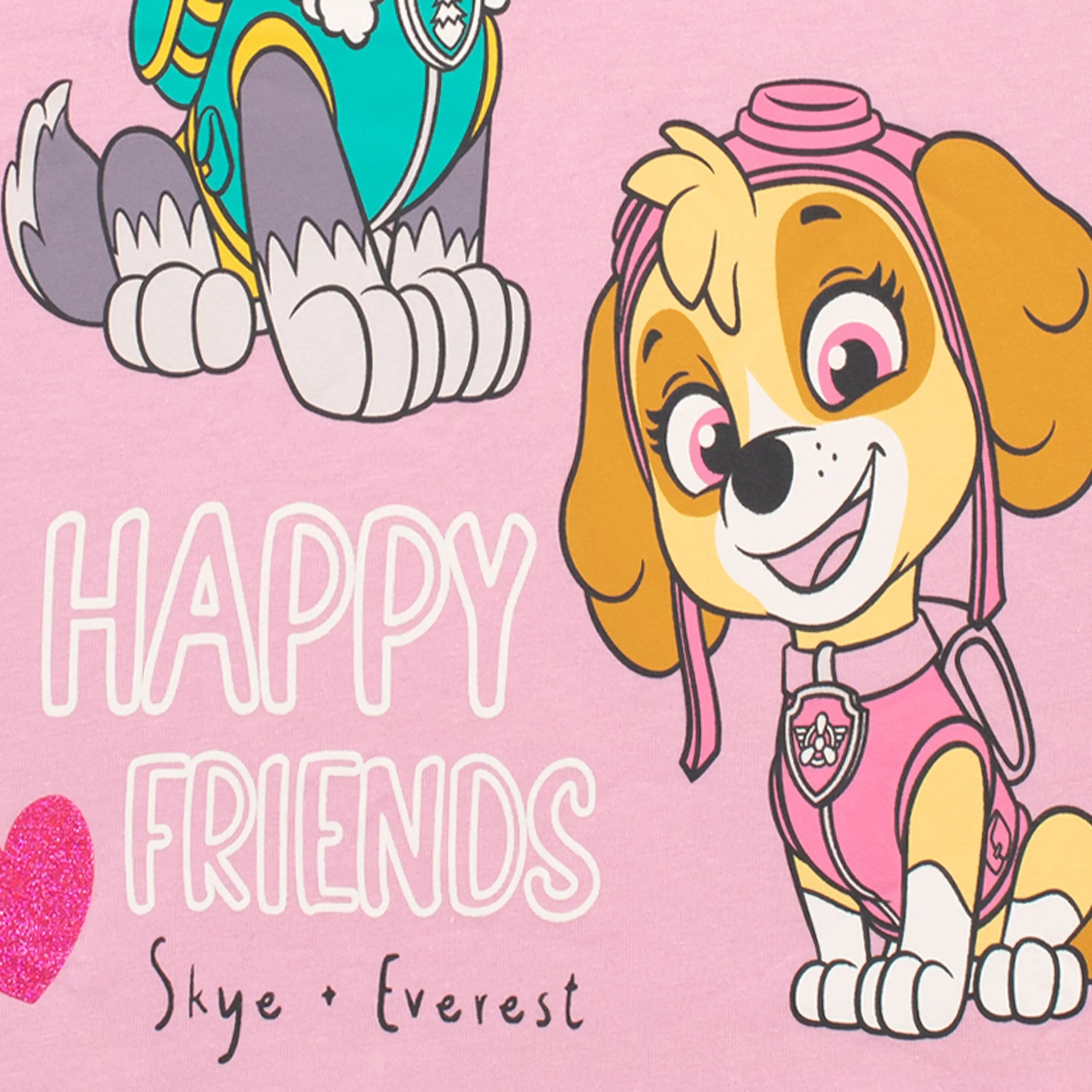 PAW Patrol T-Shirts 2 Pack Skye And Everest